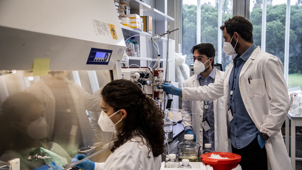 naukowcy koronawirus