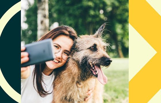 OLX zmienia regulamin pod kątem walki z pseudohodowlami zwierząt