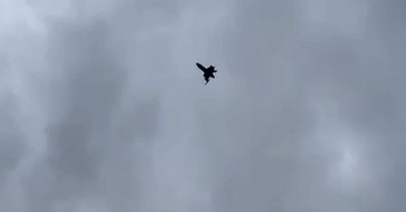Bat na Shahedy Rosjan. Ukraińcy opracowali Bulleta