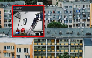 Z mieszkania zabrano 19 kotów i psa. Teraz historia się powtarza