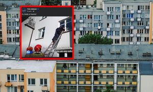 Z mieszkania zabrano 19 kotów i psa. Teraz historia się powtarza