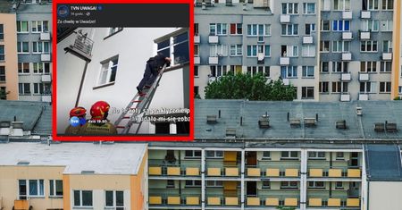 Z mieszkania zabrano 19 kotów i psa. Teraz historia się powtarza