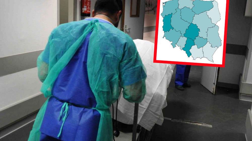 Kryzys będzie się nasilał. Polski system może tego nie dźwignąć