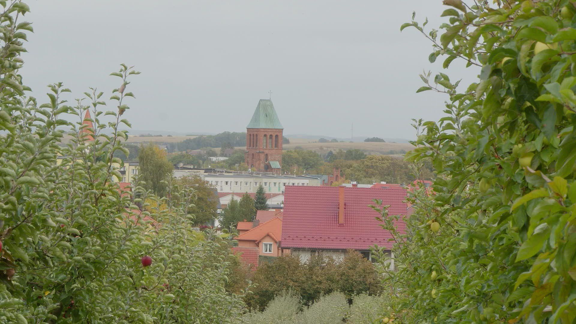 Weekendowe jabłkobranie to nie tylko sposób na zdrowe zakupy, ale także piękny gest solidarności z tymi, dzięki którym polskie jabłka wciąż smakują jak dawniej.