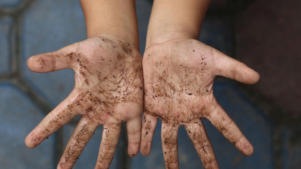 Zakażenie pasożytami - glista ludzka
