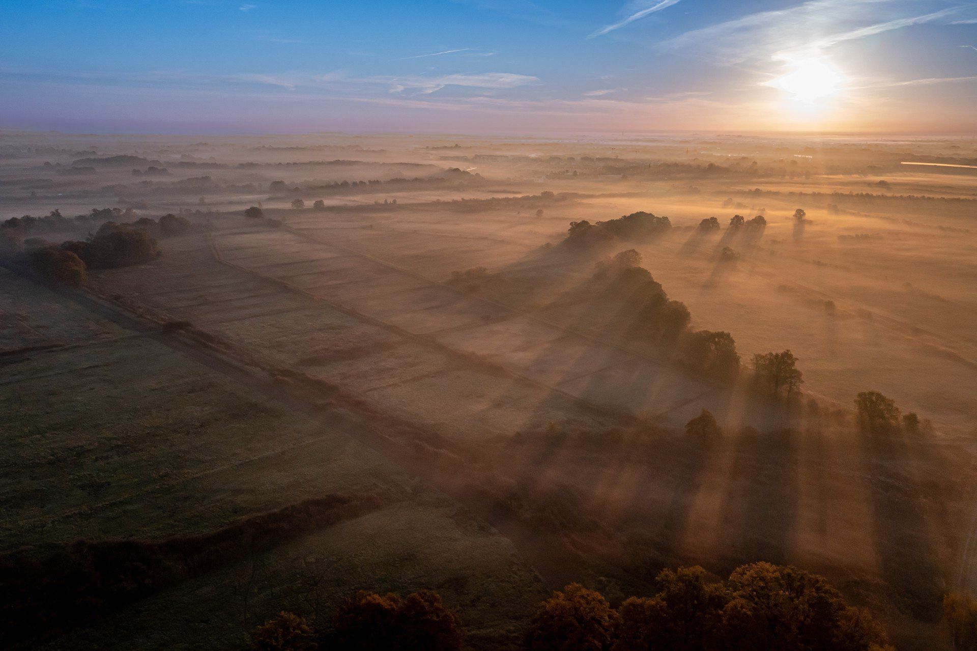 Ścieki z Wrocławia rozprowadzano tam po specjalnie przygotowanych polach, a gleba i naturalne procesy biologiczne oczyszczały je, zanim trafiły z powrotem do środowiska.