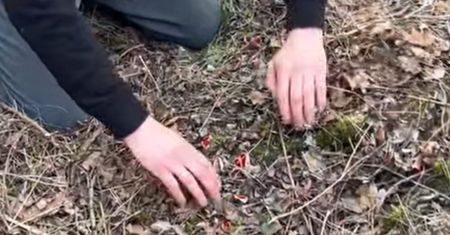 Myśleli, że to tylko liście. Ale finał. Aż pokazał nagranie