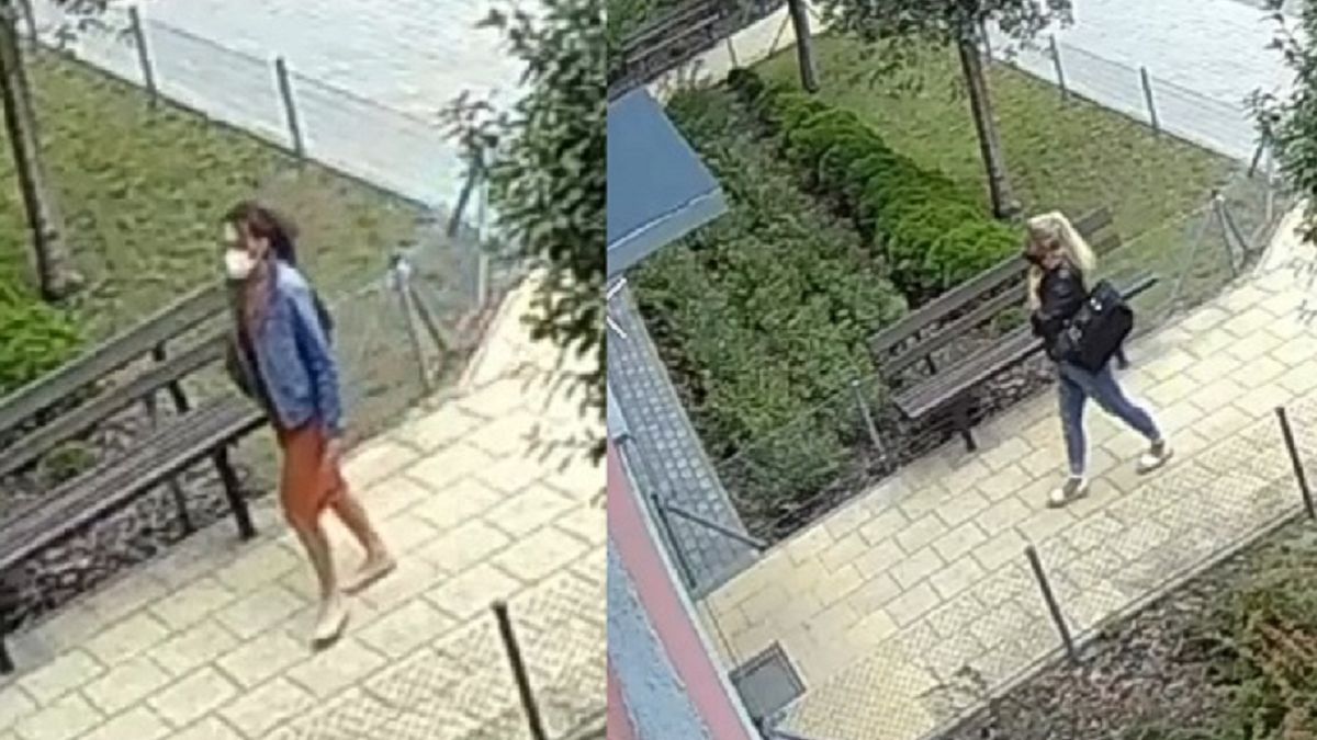 Podawały się za pracownic socjalnych 