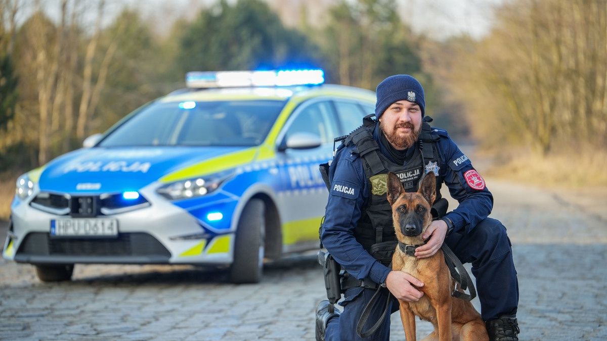 Szpilka, pies policyjny, policja