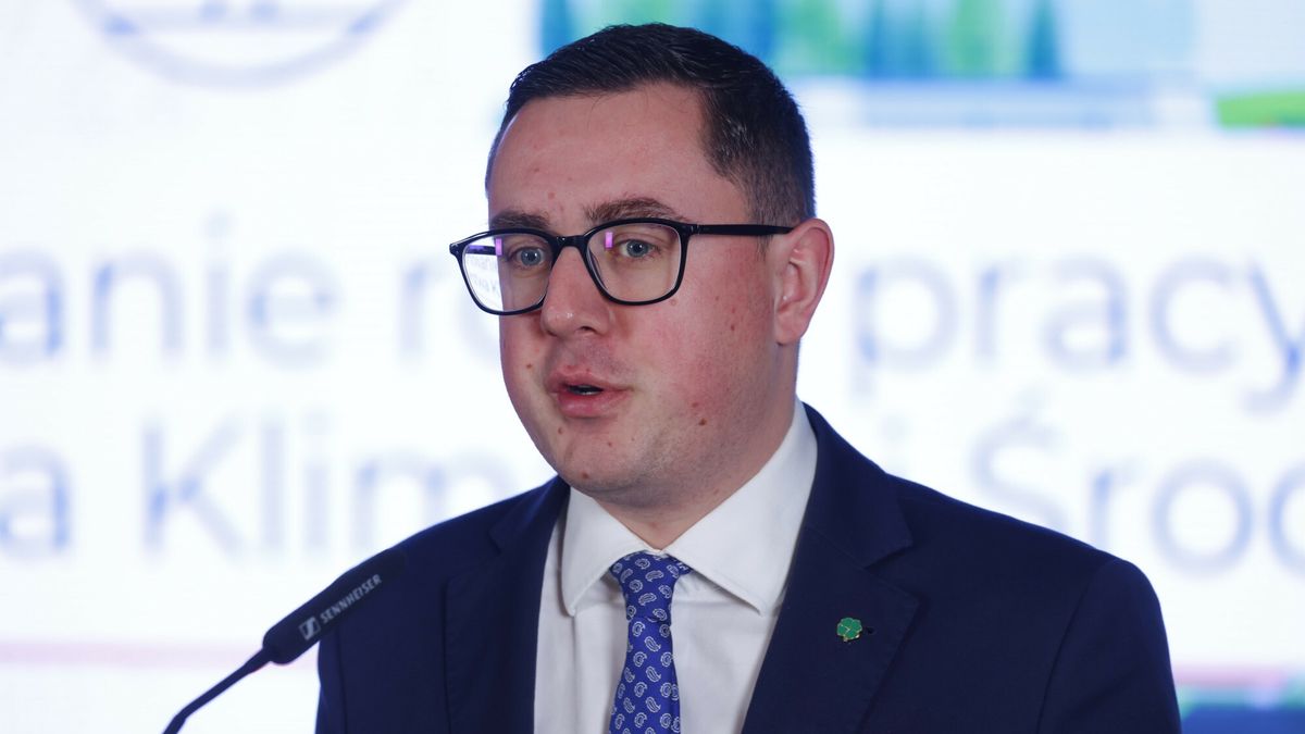 Miłosz Motyka, minister energii