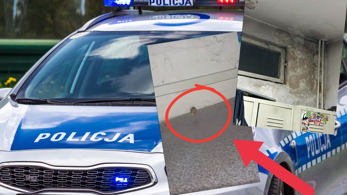 Pokazał pokój socjalny policji, W sieci zawrzało