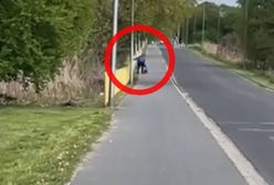 Bił i kopał psa. Wszystko na oczach ludzi