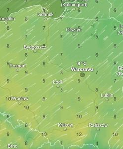 Niezwykły koniec roku. Pogoda zwariowała