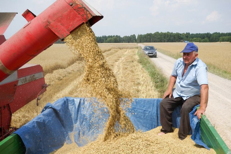 "To konieczne i nieodwracalne". Dzieci rolników wyjeżdżają, na wsiach nie ma kto zostać