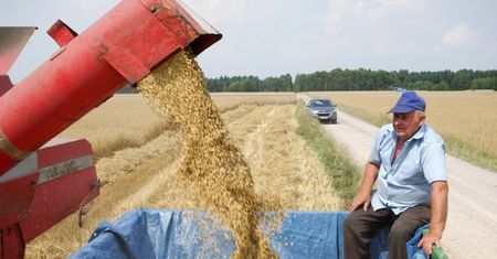 "To konieczne i nieodwracalne". Dzieci rolników wyjeżdżają, na wsiach nie ma kto zostać