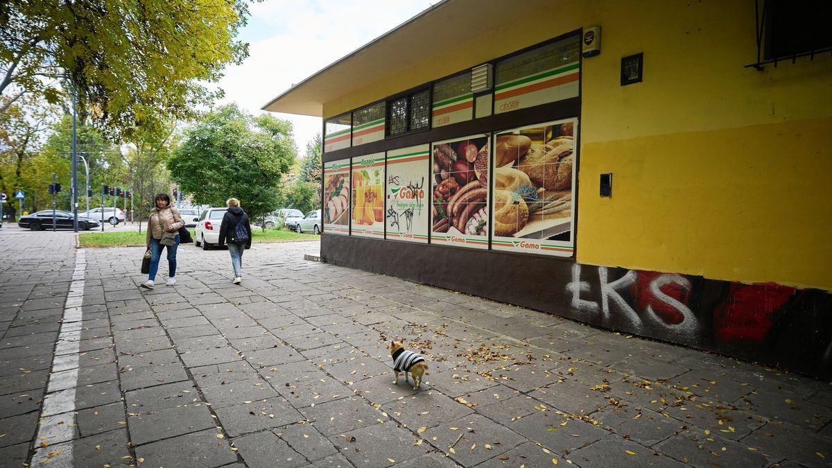 Sklep sieci Gama należącej do Społem