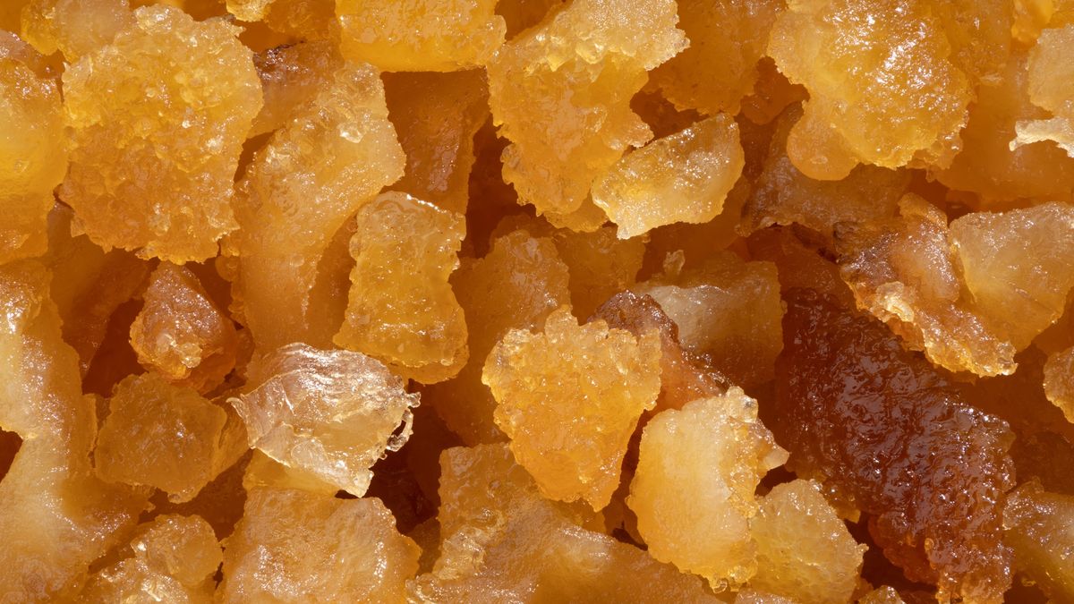 Ten rodzaj żywicy ma działanie prozdrowotne