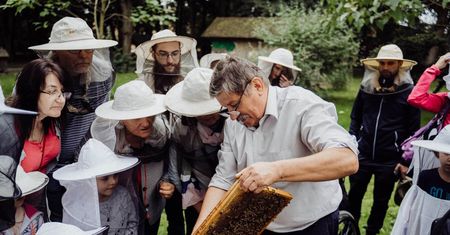 Festiwal Kultury Pszczelarskiej 2024. Wstęp bezpłatny