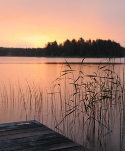 Tragedia w Teksasie. Nie żyją trzy małe siostry. Ciała znaleziono w stawie sąsiada