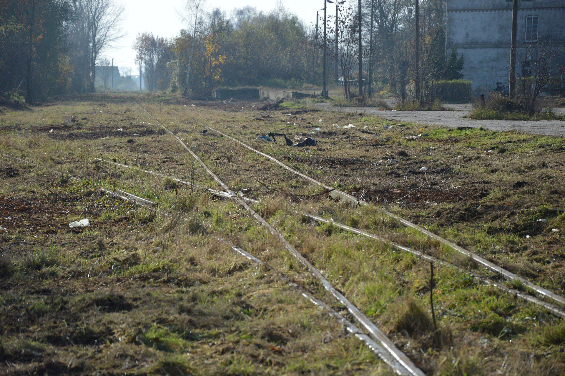 Fragment oczyszczonego torowiska nieczynnej linii nr 256 w Nowym Dworze Gdańskim