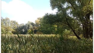 Toruń. Staw przy Poznańskiej ma się zmienić. Będą pomosty, ścieżki i miejsce wypoczynku