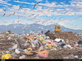 Ruda Śląska: Kolejna akcja CBA ws. składowania niebezpiecznych odpadów