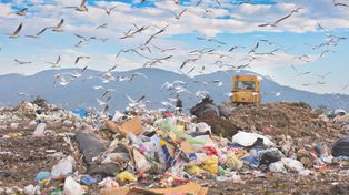 Ruda Śląska: Kolejna akcja CBA ws. składowania niebezpiecznych odpadów