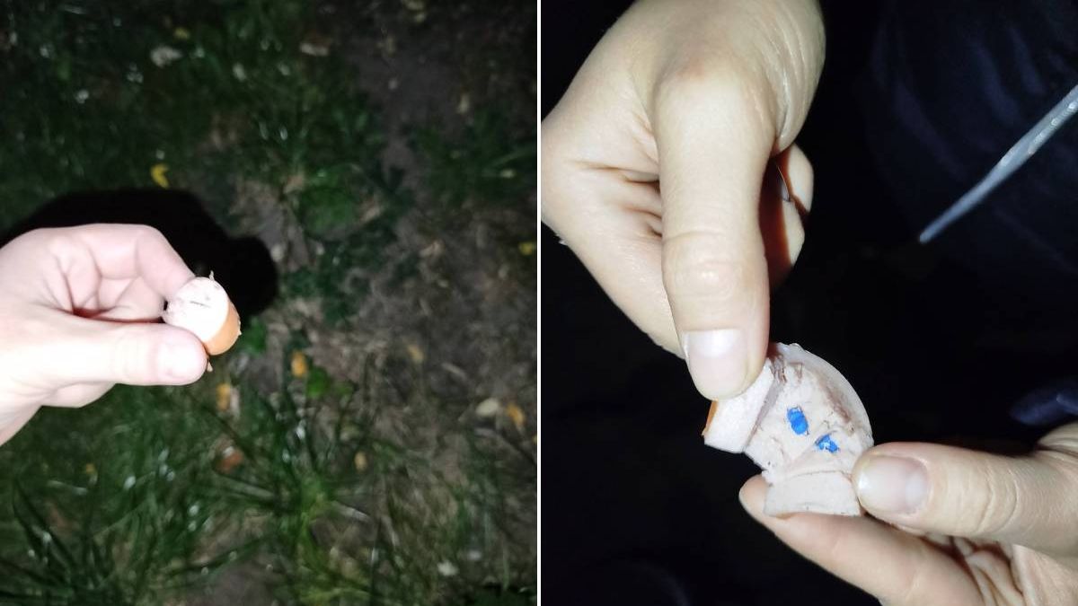Kiełbasa z trutką i szpilkami znaleziona na trawniku