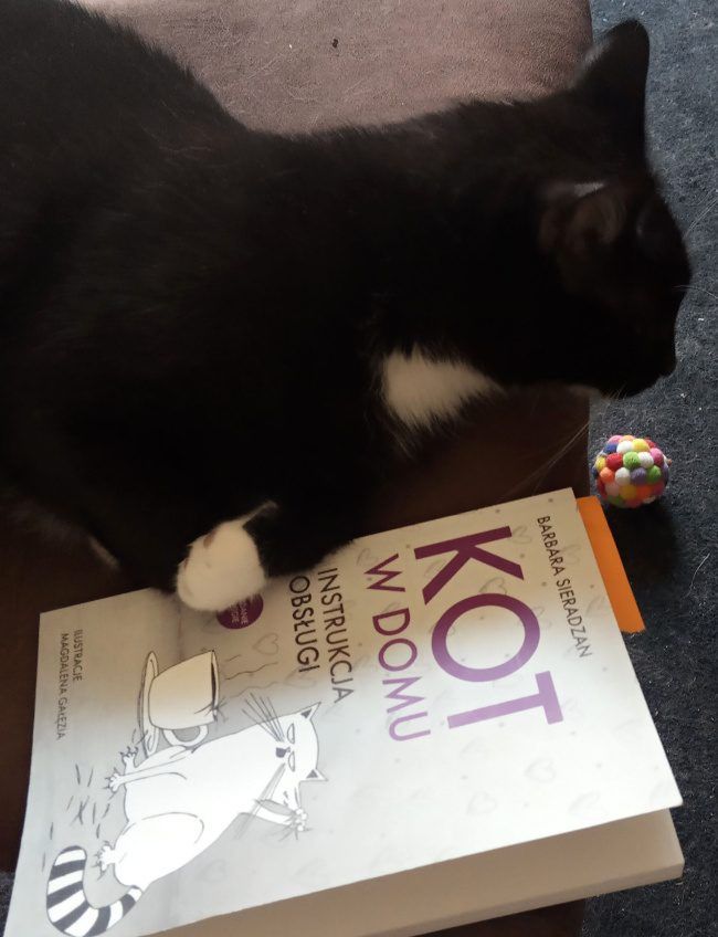 Kot w domu. Instrukcja obsługi. To ma być jakiś żart? Nie, to świetna książka!