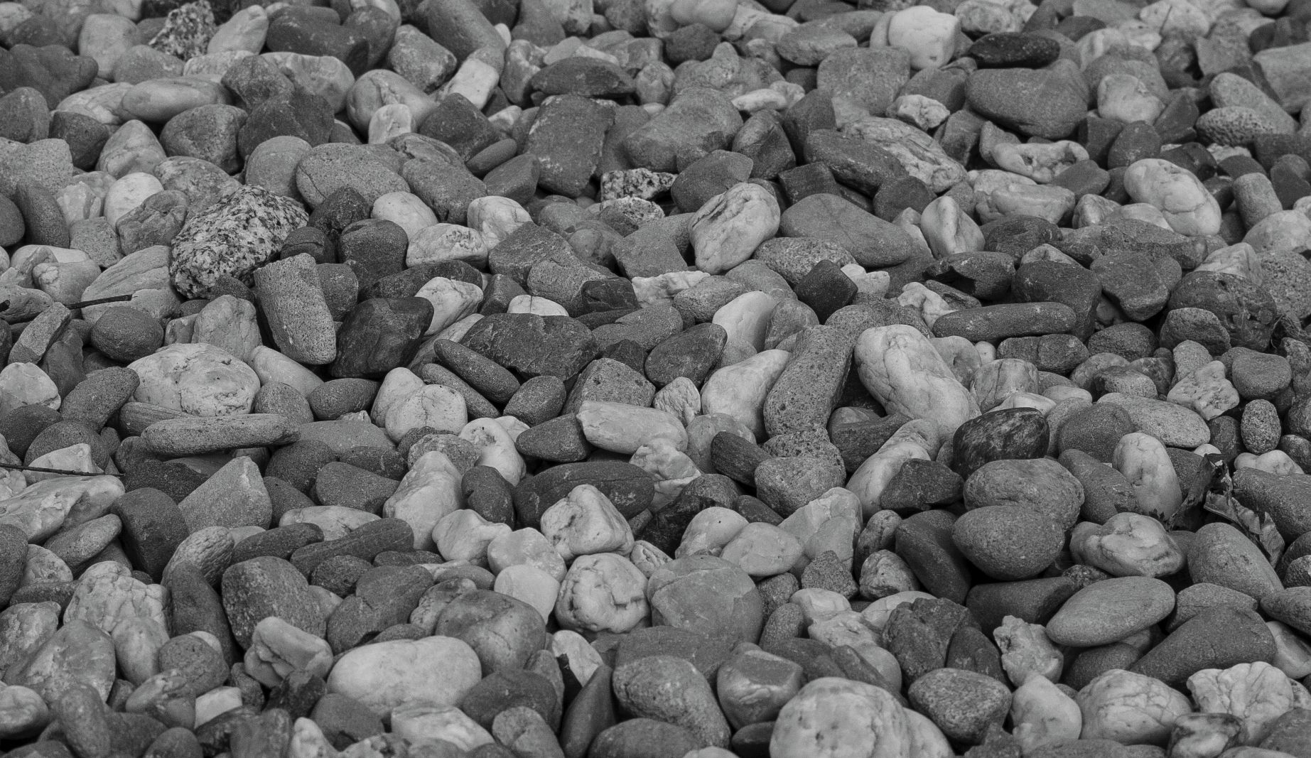 Trzydzieści pięć milimetrów najlepszej klasyki dla bezlusterkowców - Zeiss Biogon ZM 35 mm f/2 56