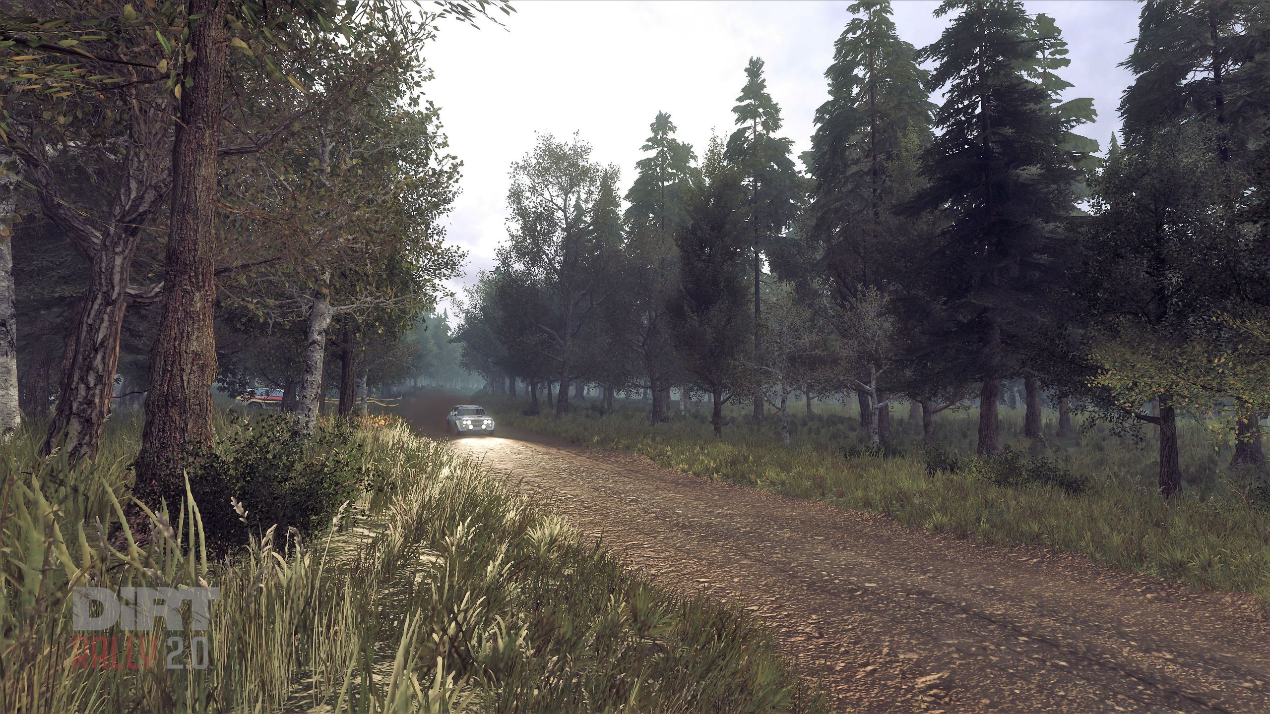 Recenzja gry DiRT Rally 2.0 – brud, kurz, mokro i ciemno… to lubię! 20