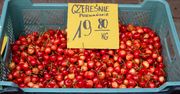 Czereśnie. Ceny niższe, ale zbiory zagrożone