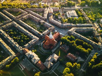 Niezwykły jarmark w Polsce. Potrwa tylko jeden weekend, ale atrakcje robią wrażenie