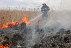 Pożar w Biebrzańskim Parku Narodowym. Premier Mateusz Morawiecki: są dodatkowe środki dla strażaków