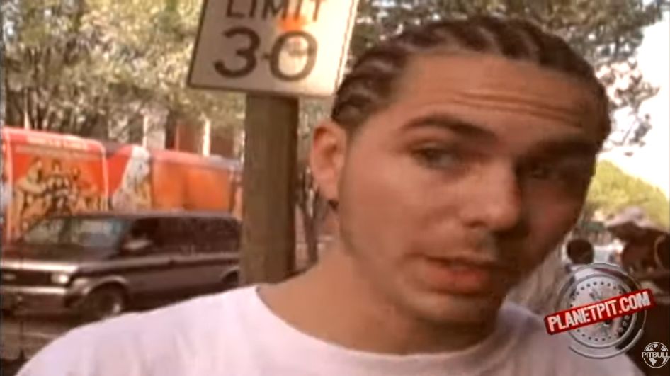 Pitbull w 2001 roku