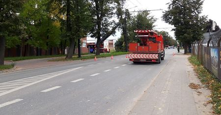 Zamknięty odcinek ul. Zemborzyckiej, objazdy. Przycinają drzewo na poboczu