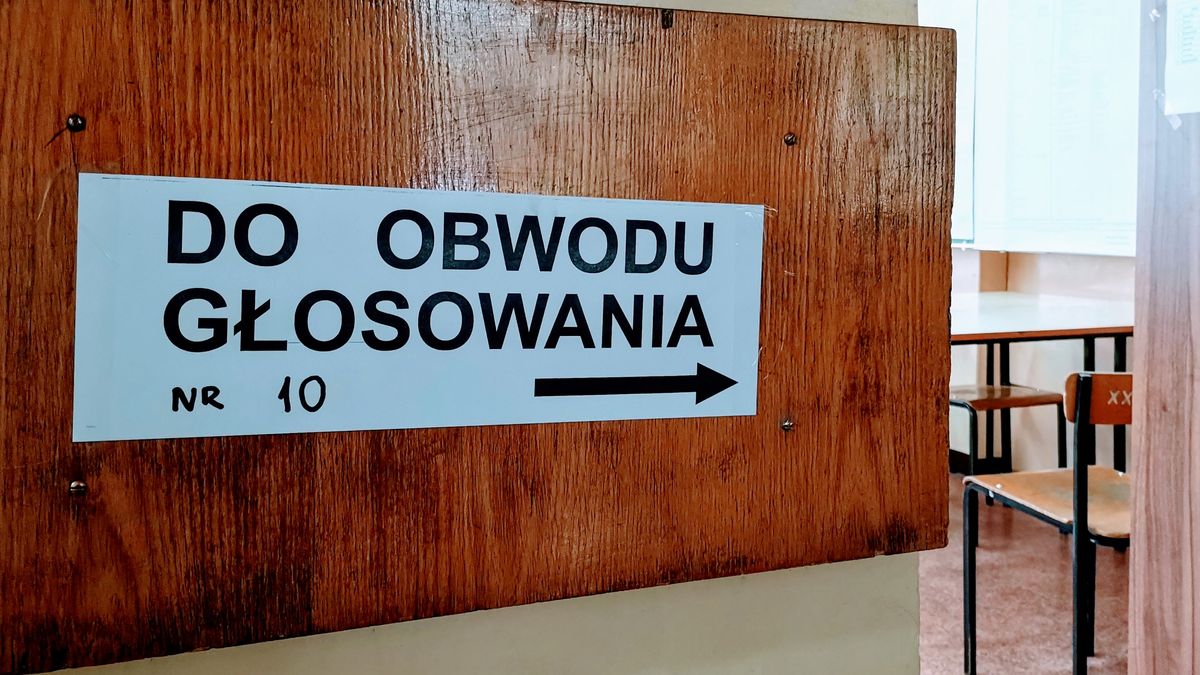 Wybory parlamentarne 2019. Jak dopisać się do rejestru wyborców przez internet?