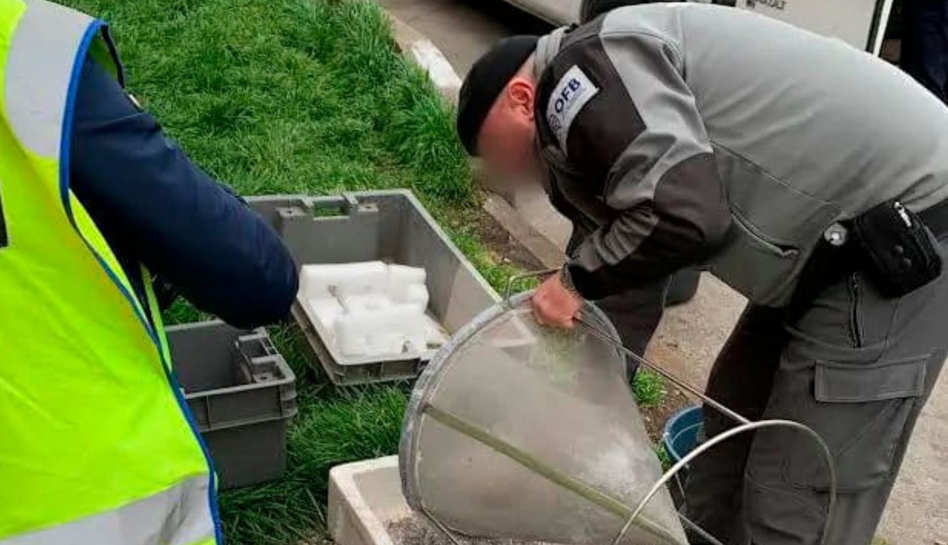 Handlują tym na czarnym rynku. Dużo droższe niż kawior i konopie