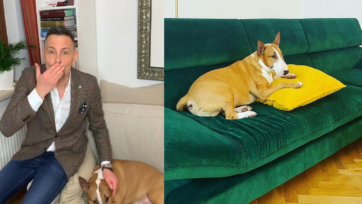 Tak mieszka Krzysztof Ibisz