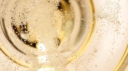 Popularny alkohol może zawierać pestycydy. Efekt? Chora wątroba i tarczyca