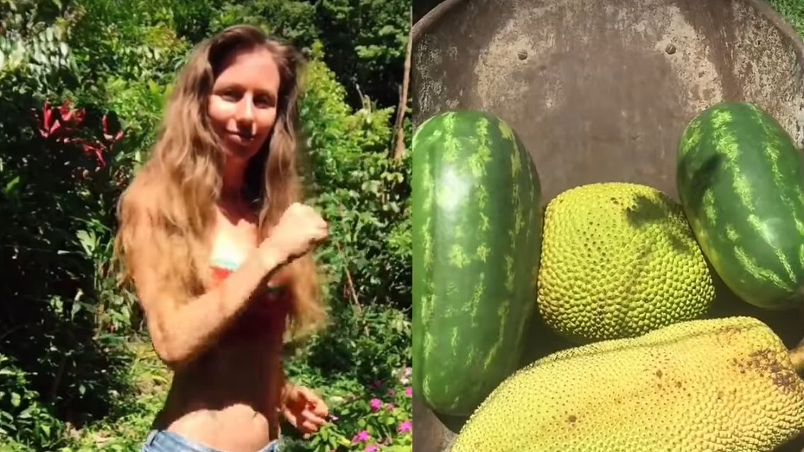 Freelee nie ma anemii