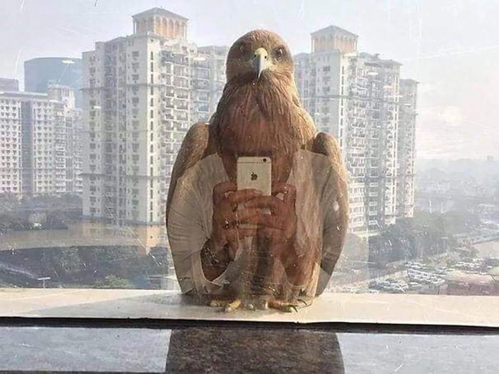Kto robi zdjęcie komu?