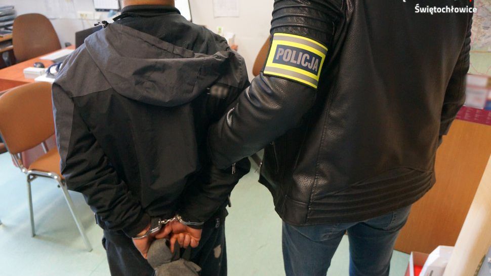 Policja aresztowała recydywistę. 
