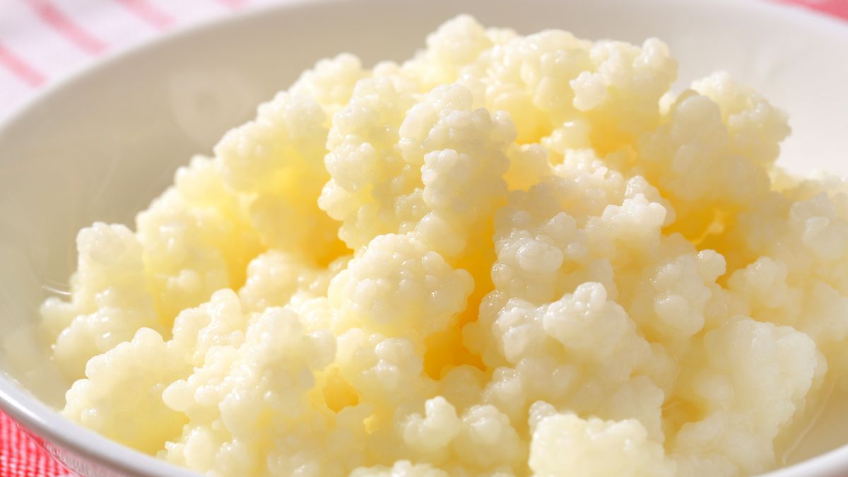 Z grzybka tybetańskiego zrobisz kefir