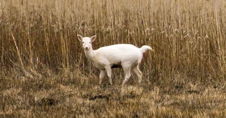 Od razu chwyciła za aparat. Miała tylko kilka sekund