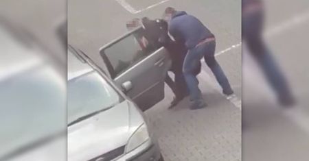 Nietypowy transport alpaki. Wepchali siłą zwierzę na tylną kanapę auta