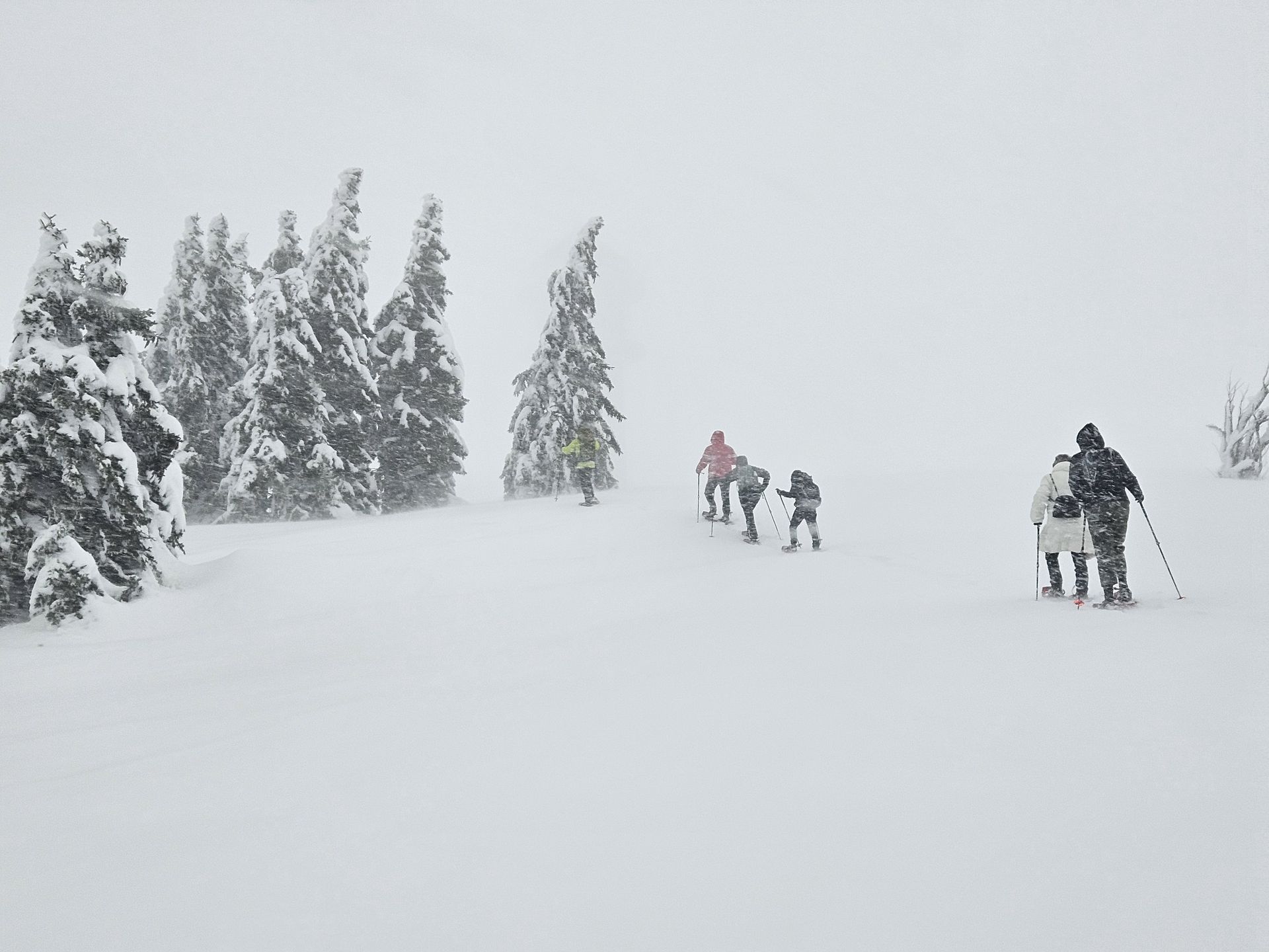 Na na szczycie liczącego 1493 m.n.p.m. Feldberga bywa bardzo wietrznie