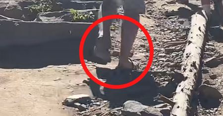 Aż zaczęła nagrywać. Ujęcia z Tatr obiegają sieć. Spójrzcie dobrze