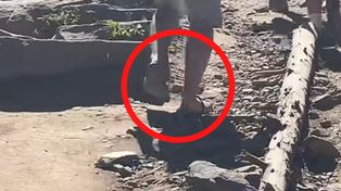 Aż zaczęła nagrywać. Ujęcia z Tatr obiegają sieć. Spójrzcie dobrze
