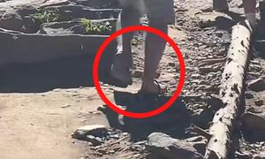 Aż zaczęła nagrywać. Ujęcia z Tatr obiegają sieć. Spójrzcie dobrze